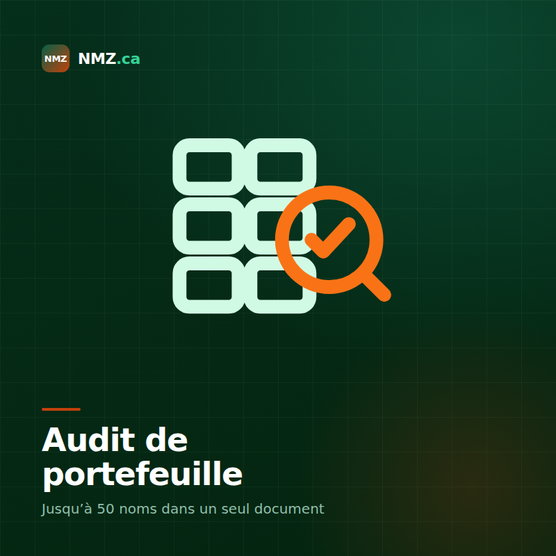 Audit de portefeuille de domaines