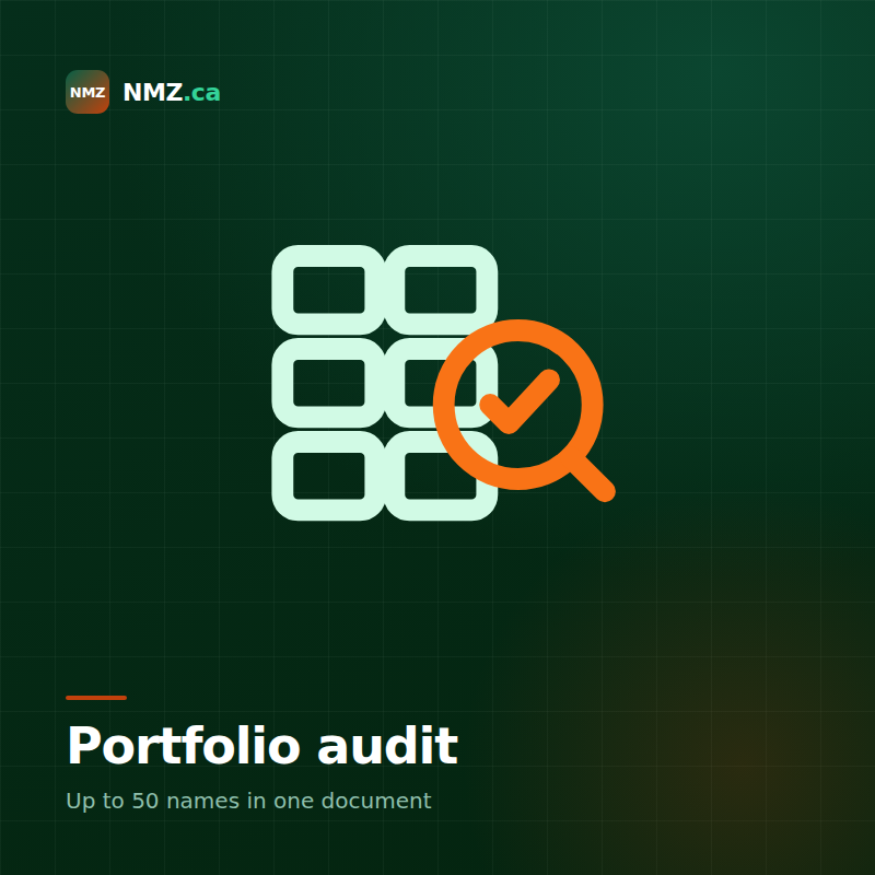Domain portfolio audit